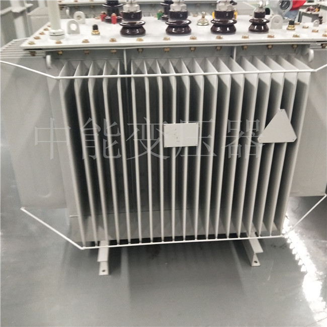 河源S20-800KVA变压器