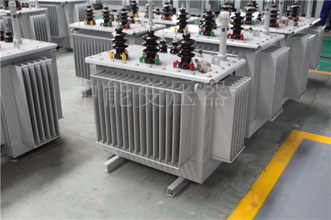 河源S22-100KVA/10KV/0.4KV变压器